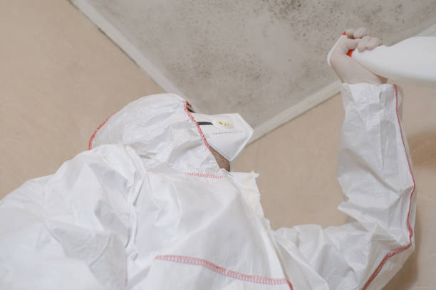 Best Commercial Mold Remediation in Palmetto Estates, FL